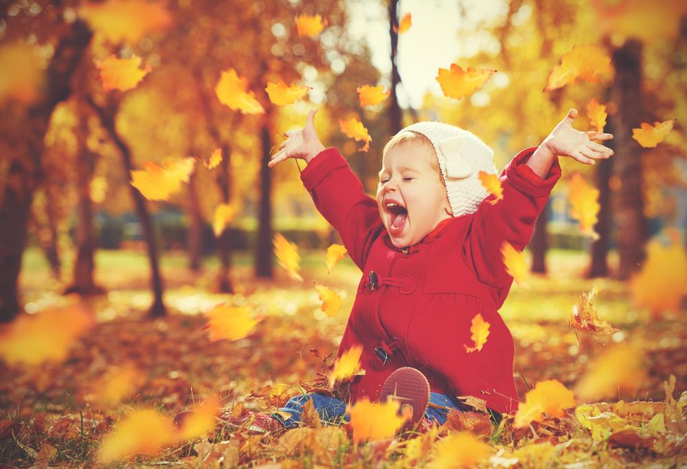Małe dziewczynka siedzi na liściach w parku i unosi rączki z radości